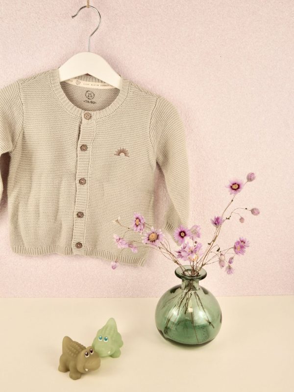 dekorbeispiel-012-fasermix-baumwollputz-kirschbluetenrosa-hoch